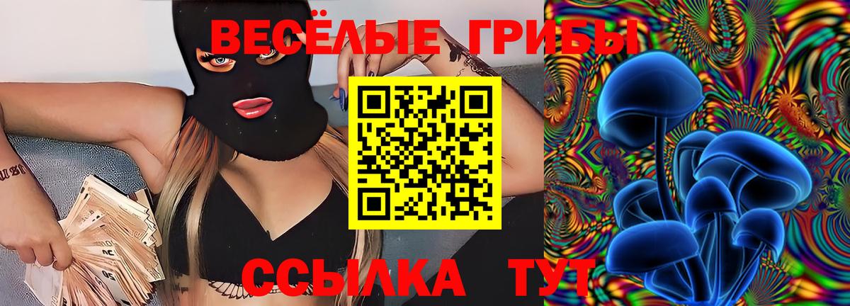 Псилоцибиновые грибы GOLDEN TEACHER  Вход с VPN  Ставрополь  наркотики  Галлюциногенные грибы прущие грибы 