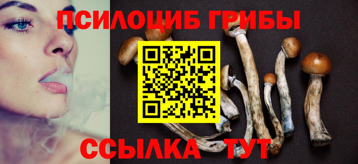 Галлюциногенные грибы Magic Shrooms Ставрополь